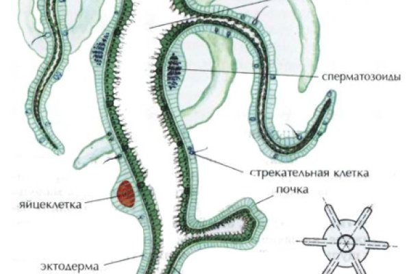 Кракен сайт kr2web