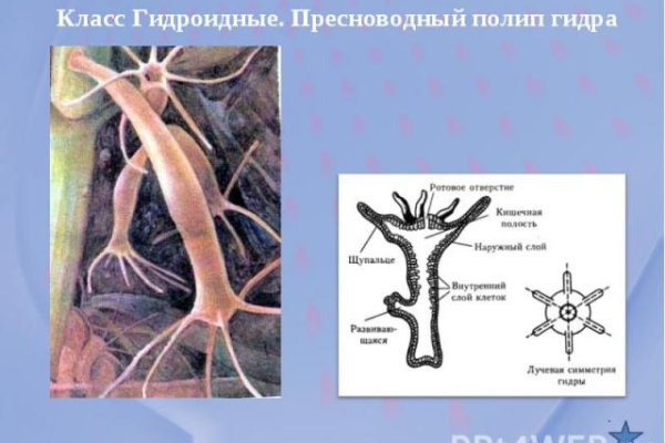 Кракен сайт наркотиков