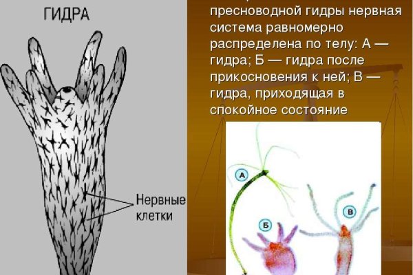 Кракен ссылка маркет vtor run